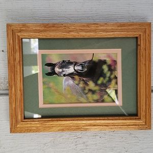 Framed Horse Print Caballo Pony Cowgirl